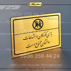 پلاک لیزری بازی کودکان در محیط ساختمان ممنوع است - تصویر 23